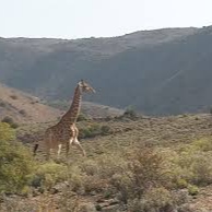 IMG_20211023_174238